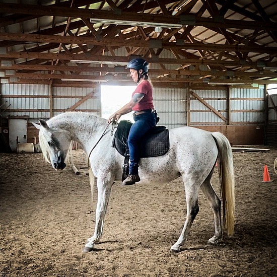 mini-demo at waelti horse farm, 09/25/22