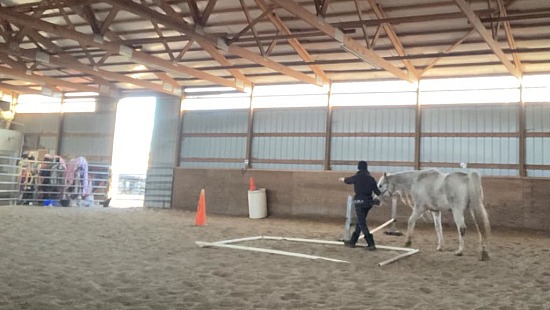 Experimenting with affordances and behavior chains