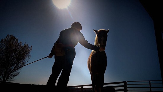 Bridging worlds, flag & R+ video