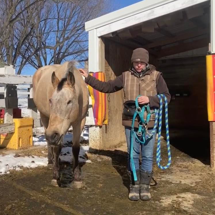 shaping plan & training log