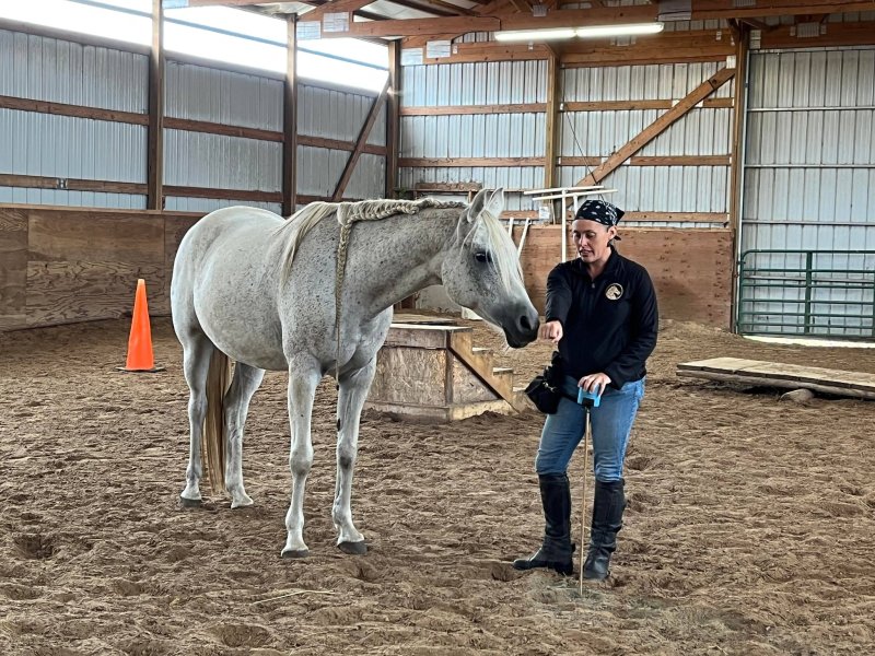 R+ Mini Workshop at Top of the World Stables (Auditors)