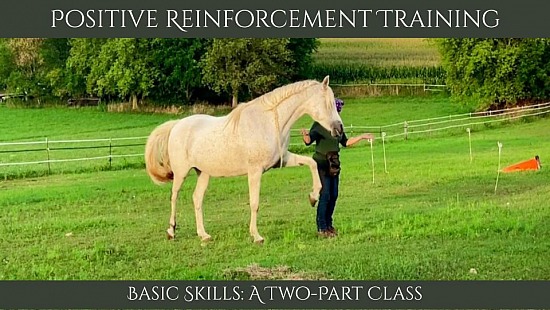 Basic_Skills_Class