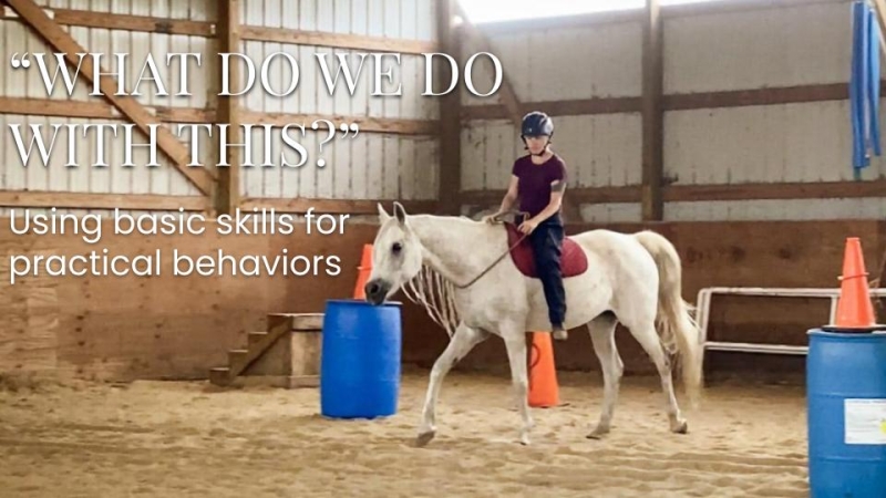 Clinic Next Steps - what do we do.jpg